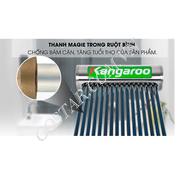 Máy Nước Nóng Năng Lượng Mặt Trời 300L